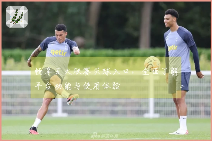 畅享五大联赛买球入口,全面了解平台功能与使用体验