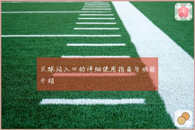 买球站入口的详细使用指南与功能介绍