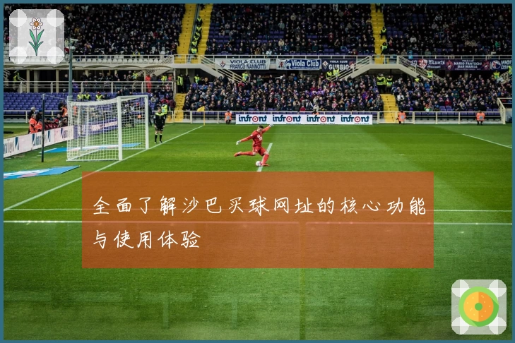 全面了解沙巴买球网址的核心功能与使用体验