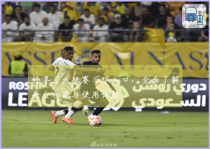 畅享五大联赛买球入口，全面了解平台功能与使用体验
